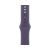 Apple Watch Series 11, 42 mm, Gold Titanium GPS+Cellular, Purple Fog Sport Band M/L