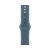 Apple Watch Series 11, 42 mm, Gold Titanium GPS+Cellular, Anchor blue Sport Band M/L
