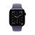 Apple Watch Series 11, 46 mm, Slate Titanium GPS+Cellular, Purple Fog Sport Band S/M