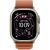 Apple Watch Ultra 3, 49 мм, Natural Titanium Terra Cotta Alpine Loop L