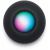Apple Homepod Mini, серый космос