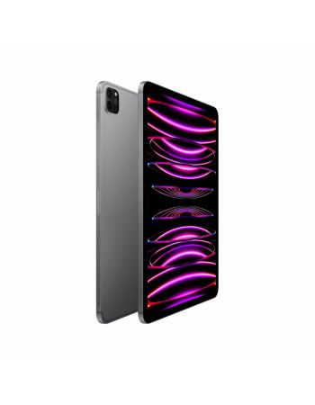  Apple iPad Pro 11 (2022), 2 ТБ, Wi-Fi + Cellular, Серый космос